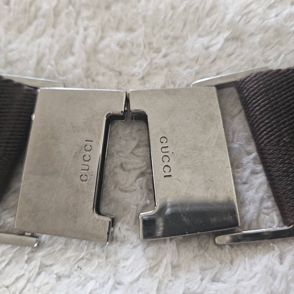 Gucci Brown Web Belt with Silver-Tone Double G Buckle